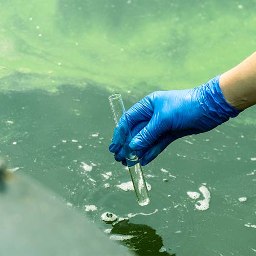 Bentonit glina | Water treatment