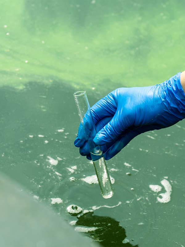 Bentonit glina | Water treatment